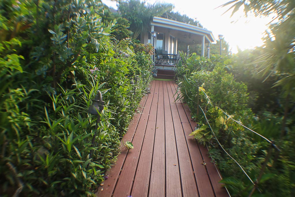 Boardwalk path boarded on both sides by green tropical vegetation leading to Sundowner Villa in the background.